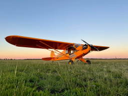 American Legend AL3 Cub
