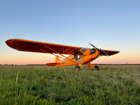 American Legend AL3 Cub