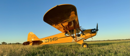 American Legend AL3 Cub full