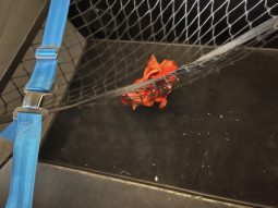 TL 3000 ULTRA LIGHT SIRIUS full