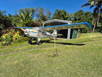 Kitfox 3
