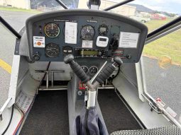 Aeroprakt Foxbat A-22L 2008 full